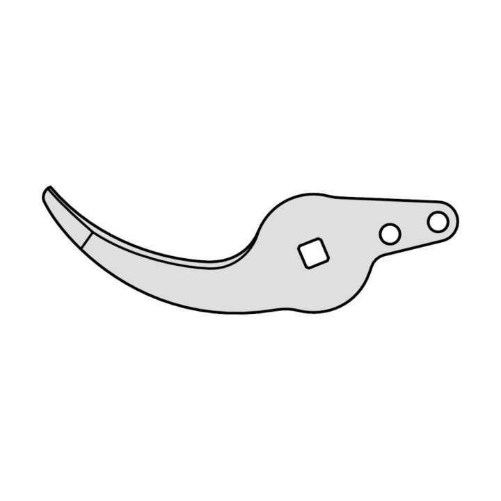 copy of 